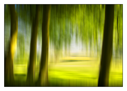 Dreamily Through Summer Trees